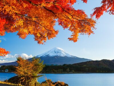 Terra-Incognita-Japan-Japonia-Tokyo-Hiroshima-Autumn-Toamna-2020-37