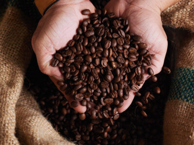 Terra-Incognita-Columbia-si-Prietenii-O-aventură-plină-de-culoare-cafea