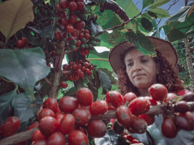 farmer-woman-picking-her-colombian-coffee-farm
