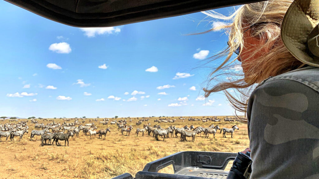 Zebras in Namibia’s wilderness during the self-drive safari group tour June 2026