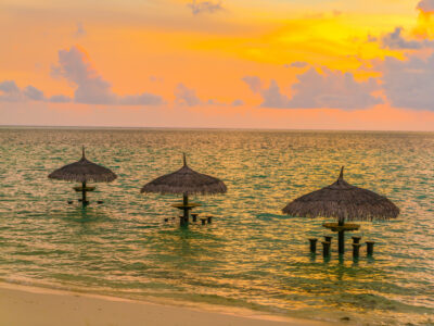 Beach Vacation 2026