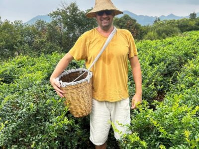 Razvan insotitor de grup pe plantatie de ceai in China cu Terra Incognita