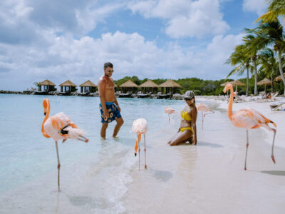 Aruba beach with pink flamingos at the beach, flamingo at the beach in Aruba Island Caribbean. A colorful flamingo at beachfront, couple men and woman on the beach mid age man and woman