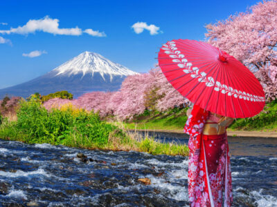 Asian woman wearing japanese traditional kimono and looking at cherry blossoms with fuji mountains in Shizuoka, Japan.