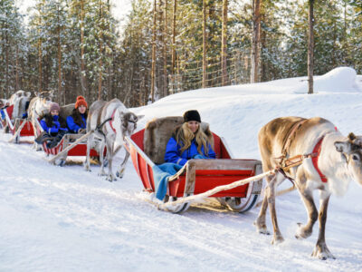 Rovaniemi, Finland - March 5, 2017: Reindeer sledding caravan safari and people in winter forest at Rovaniemi, Lapland, Northern Finland.